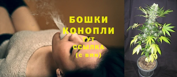 дмт Сосновый Бор