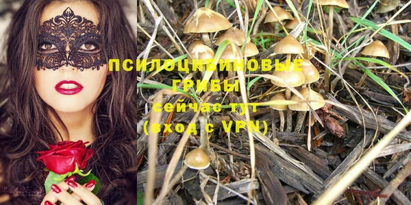 молекула духа Белоозёрский