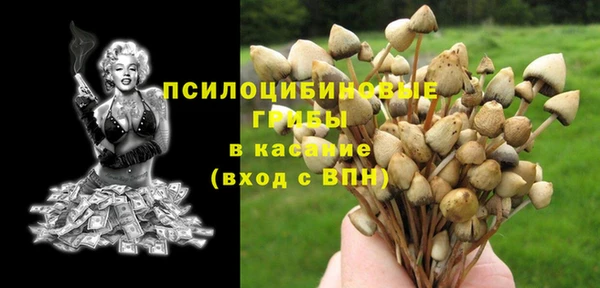 молекула духа Белоозёрский